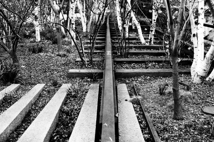 _MG_2995_RAWPROC_BW_SMALL10